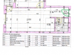 apartment 22