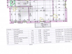 apartment 7