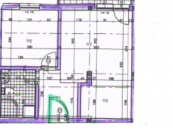 apartment 11