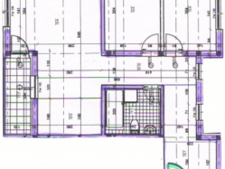 apartment 12