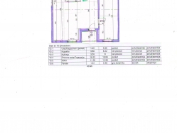 apartment 10