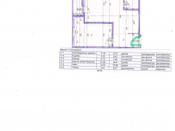 apartment 11