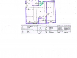 apartment 15
