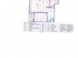 apartment 17