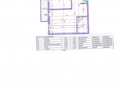 apartment 24