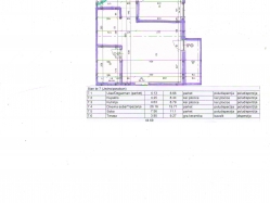 apartment 7